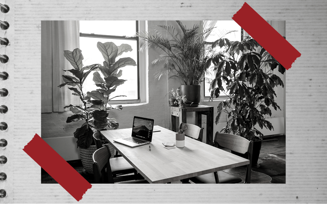 Bien être au travail avec les plantes de bureau