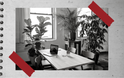 Bien être au travail avec les plantes de bureau
