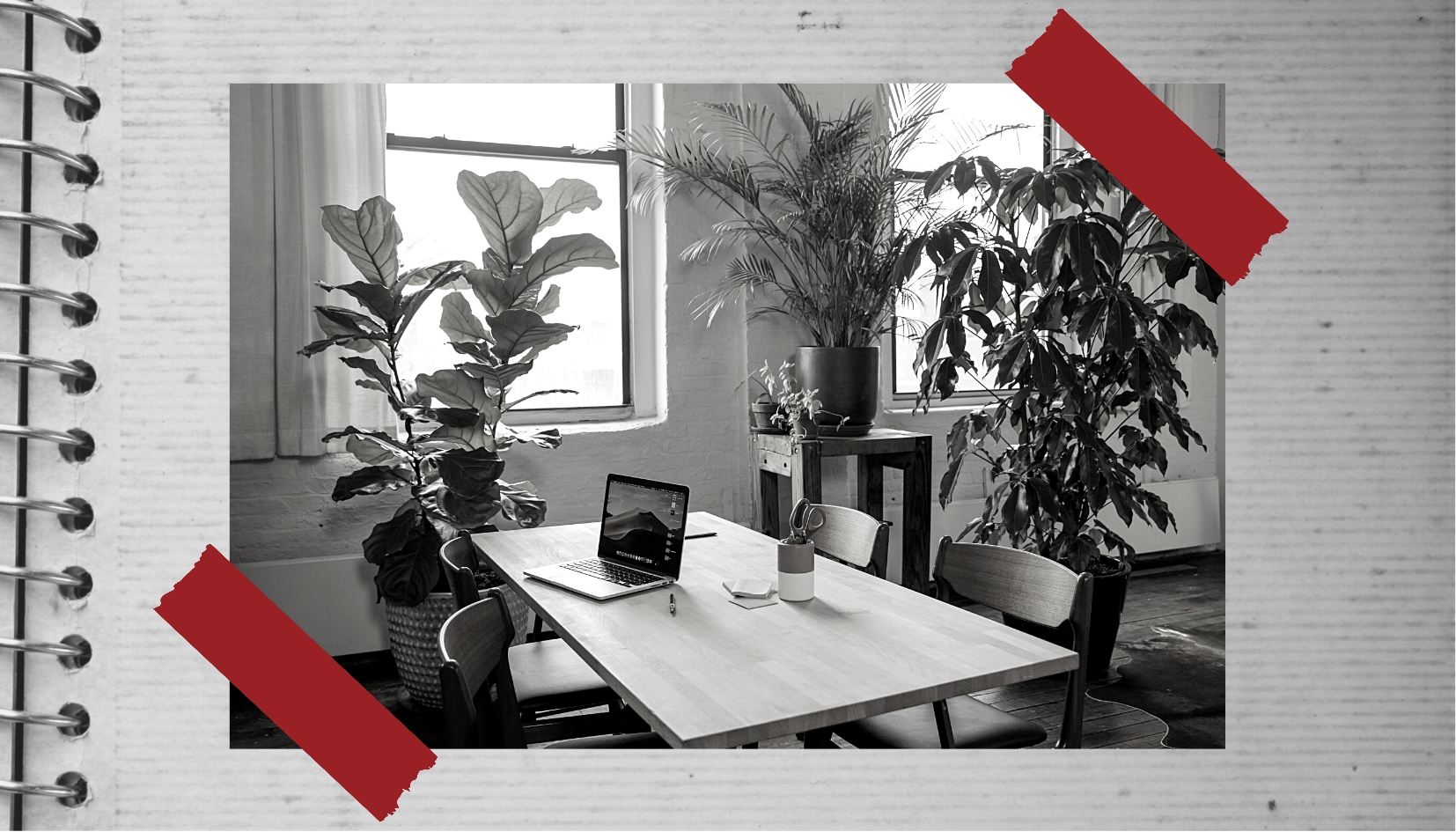 Les plantes de bureau pour se sentir mieux en travaillant
